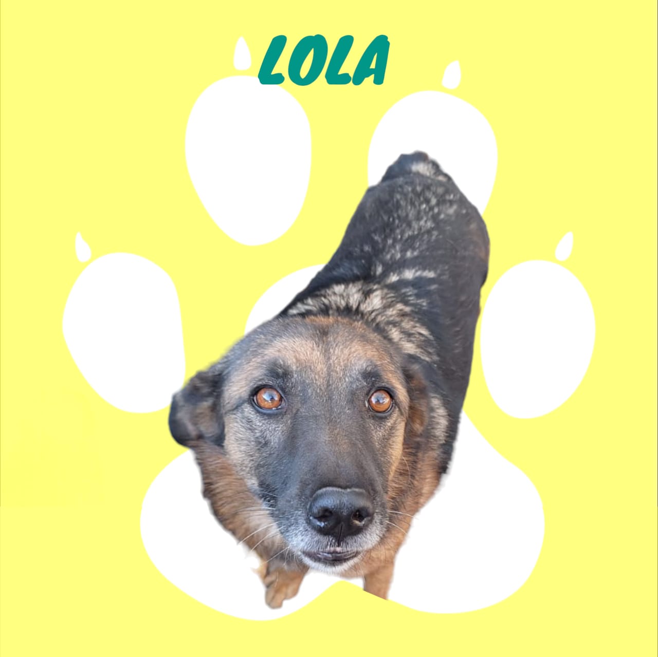 Placeholder Image